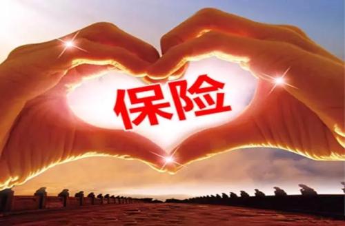 人壽重大疾病保險，哪種比較好？